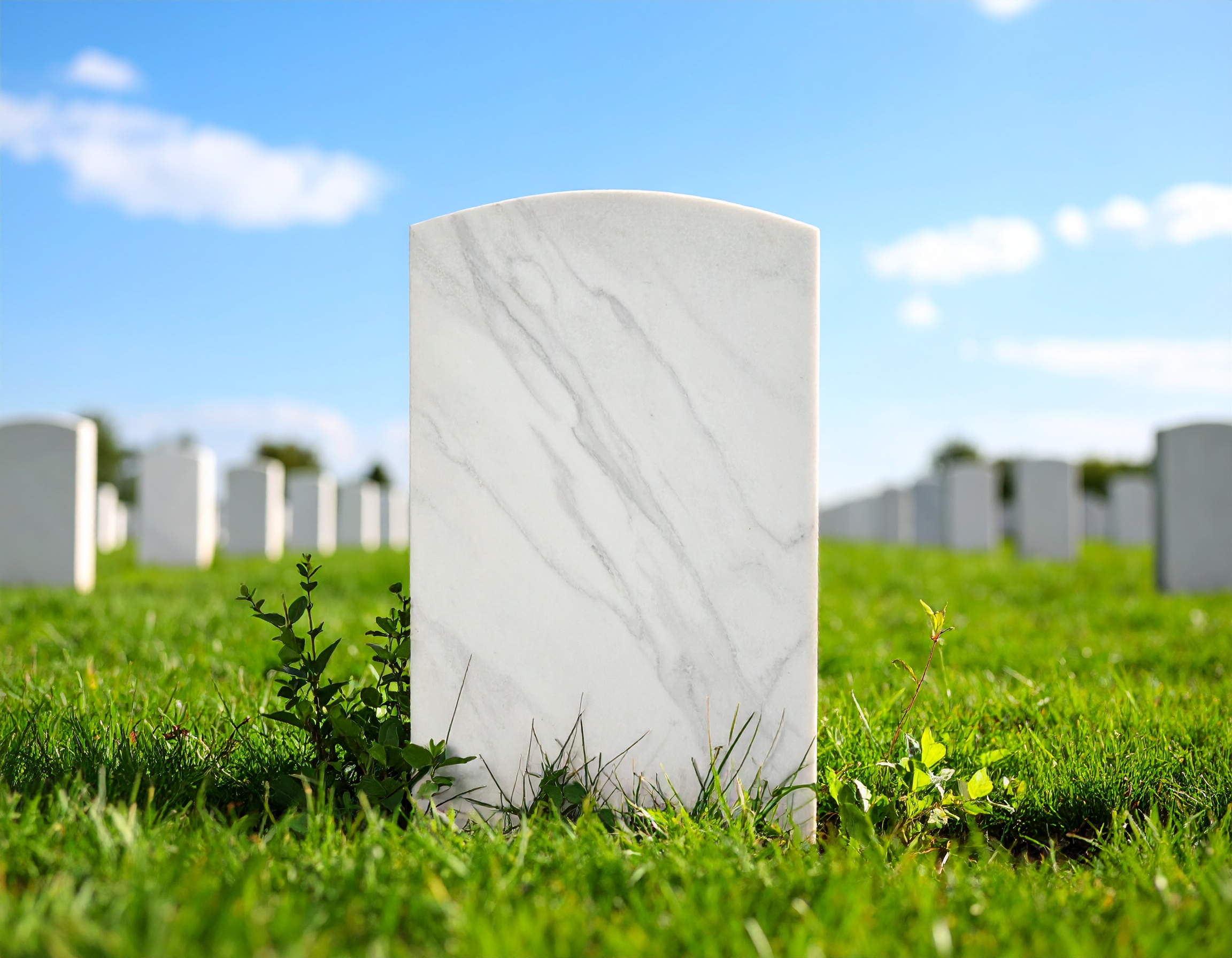 Firefly_blank tomb stone at cemetery 543967