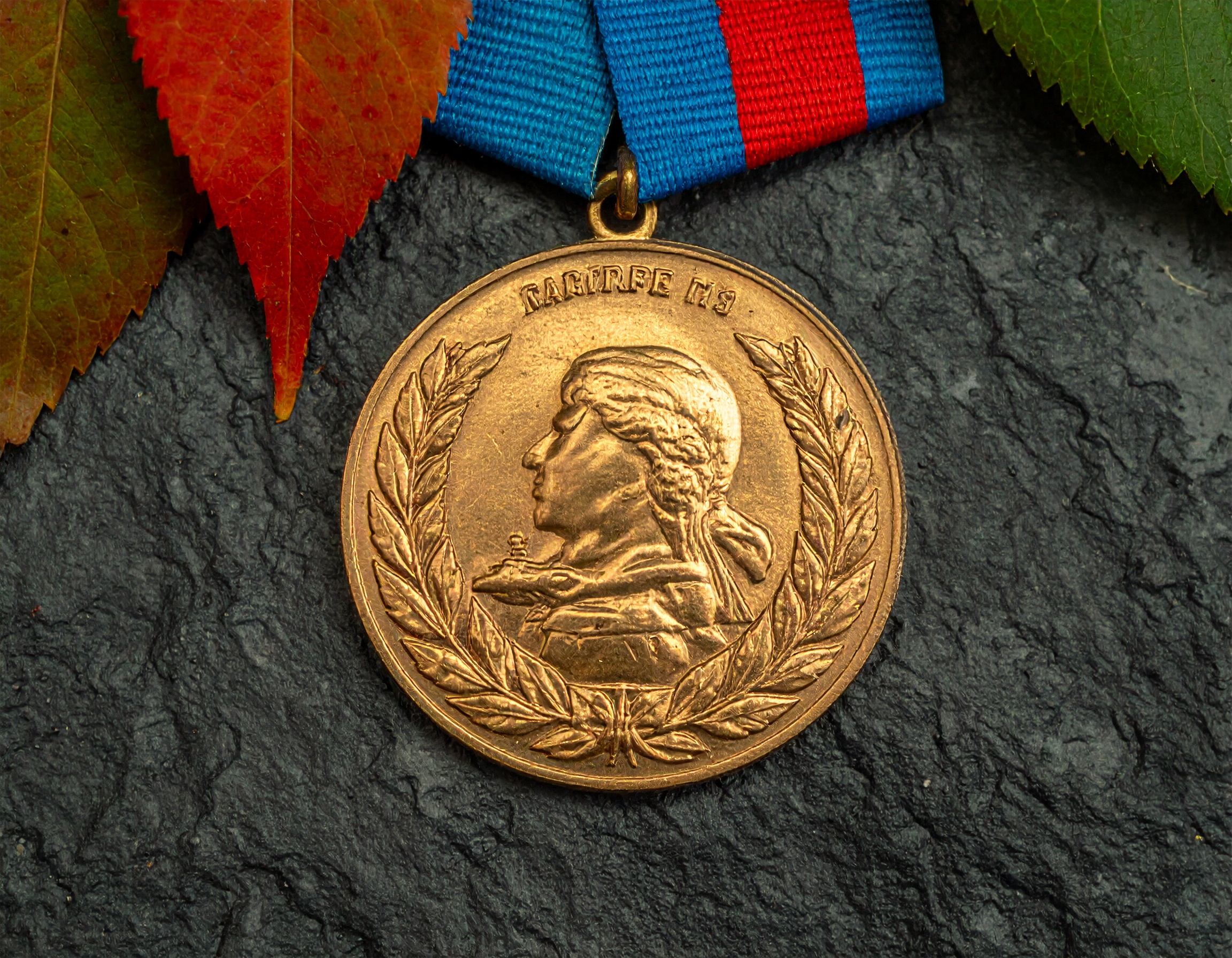 Firefly_Canadian military medals 726770